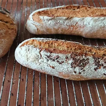 بيت ضيافة Domaine Du Bel Air Casson